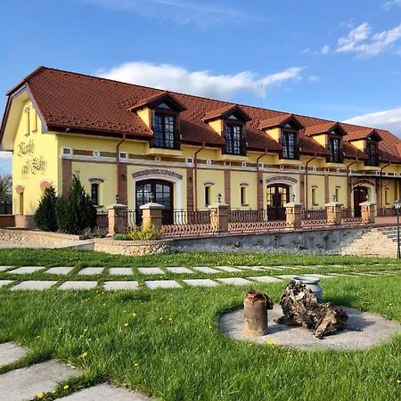 Hotel Kastely Grof Zichy Haniska Exterior foto