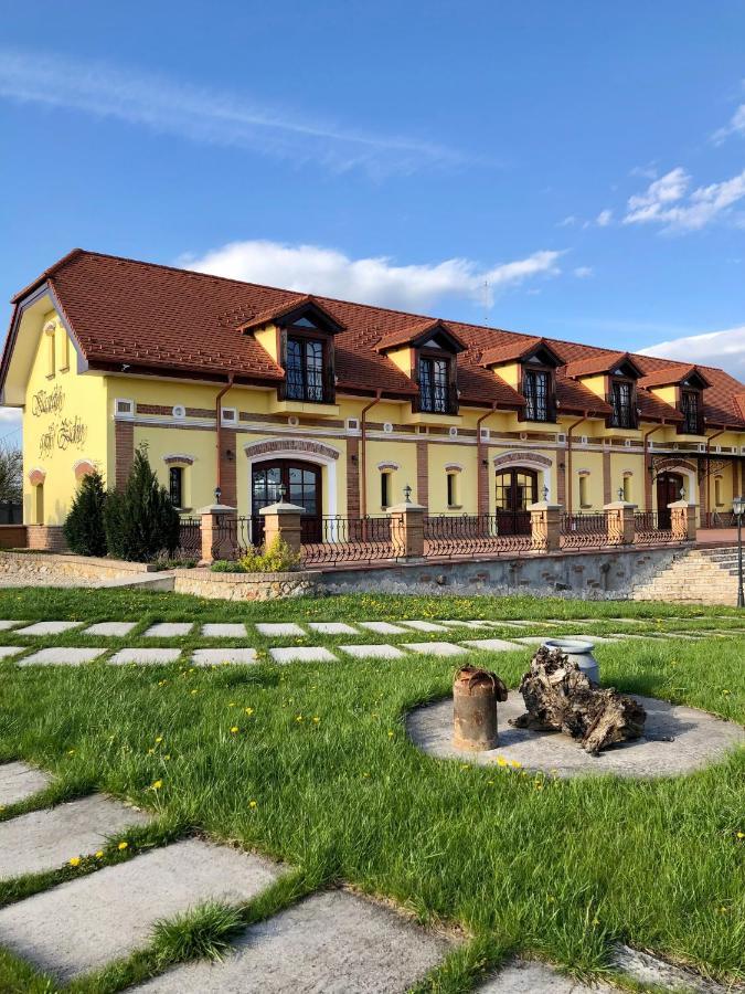 Hotel Kastely Grof Zichy Haniska Exterior foto
