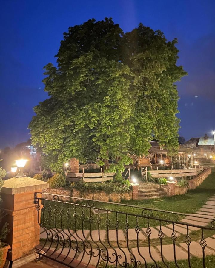 Hotel Kastely Grof Zichy Haniska Exterior foto
